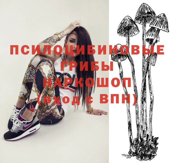тгк Армянск